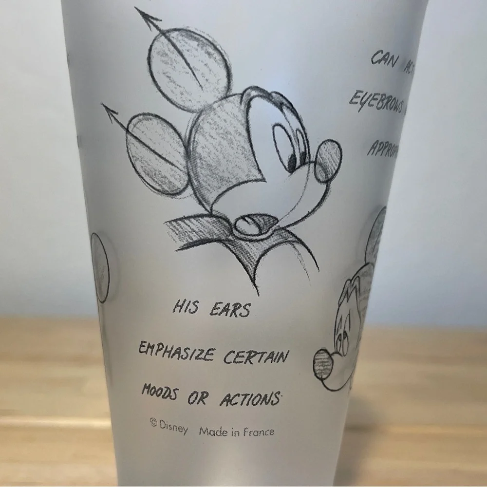 disneyland used good